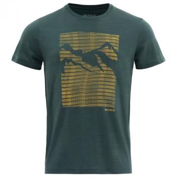 Devold HAVTAKA MAN TEE (woods)